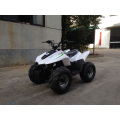 49cc Mini Quad ATV